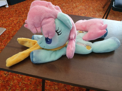 sherbet plush flop.jpg